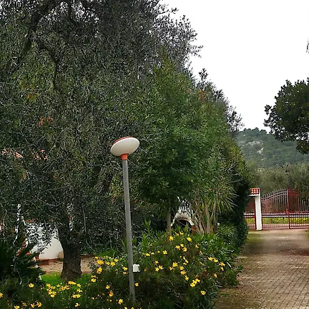 Soleil