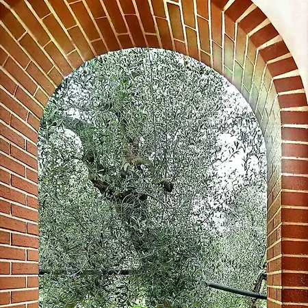 Casa de Férias Soleil