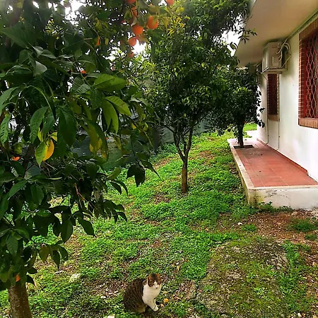 Casa de Férias Soleil Vieste